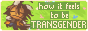 how it feels to be transgender