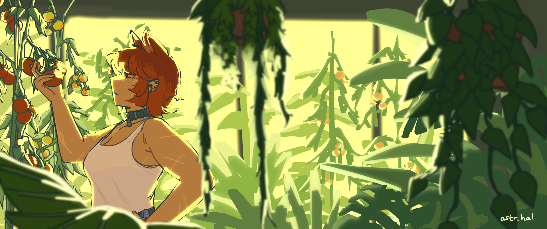 Fiore inspecting a tomato plant in an indoor garden, backlit by outside sunlight, in a greener tone.